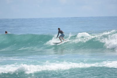 DSC_6475.JPG