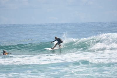 DSC_6485.JPG