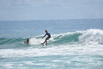 DSC_6488.JPG