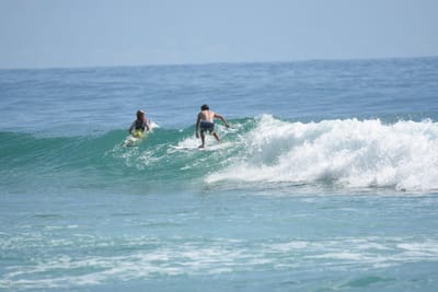 DSC_6503.JPG