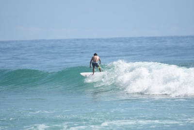 DSC_6505.JPG