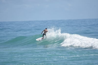 DSC_6513.JPG