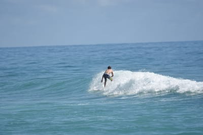 DSC_6515.JPG
