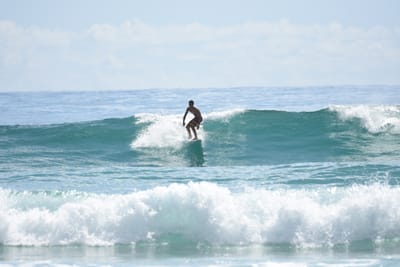 DSC_6517.JPG