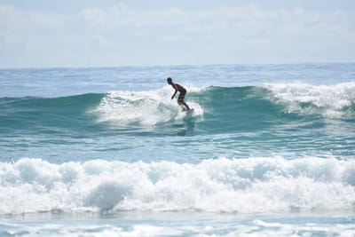 DSC_6518.JPG