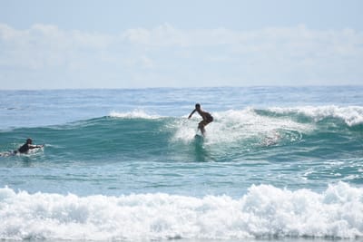 DSC_6519.JPG