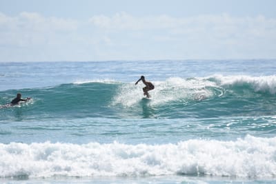 DSC_6520.JPG