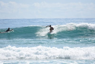 DSC_6521.JPG