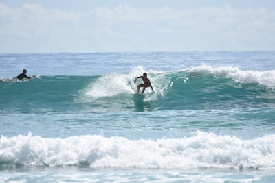 DSC_6522.JPG