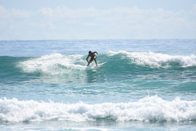 DSC_6524.JPG