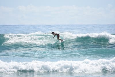 DSC_6527.JPG