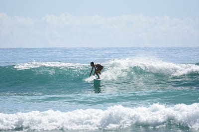 DSC_6529.JPG