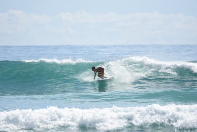 DSC_6530.JPG