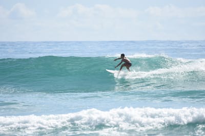 DSC_6532.JPG