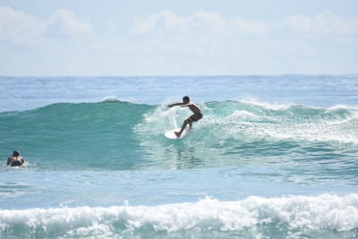 DSC_6533.JPG