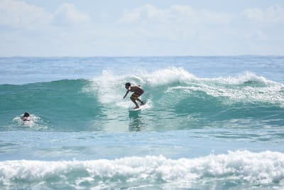 DSC_6535.JPG