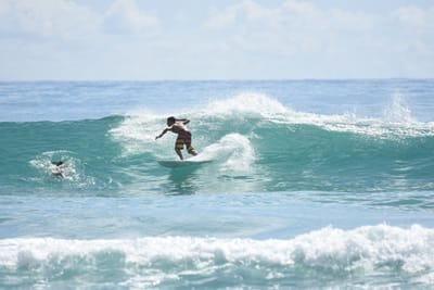 DSC_6536.JPG