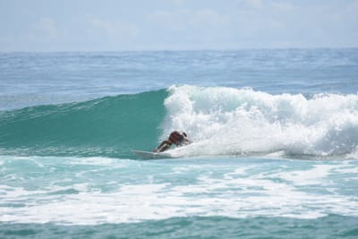 DSC_6552.JPG