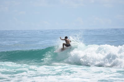 DSC_6553.JPG