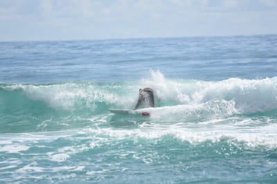 DSC_6555.JPG