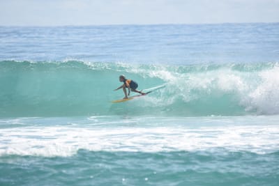 DSC_6560.JPG