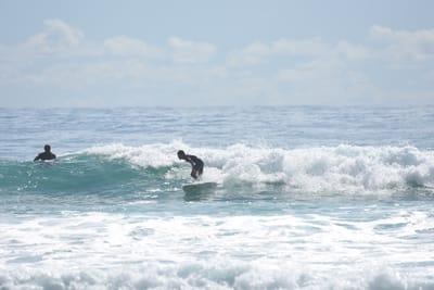 DSC_6566.JPG