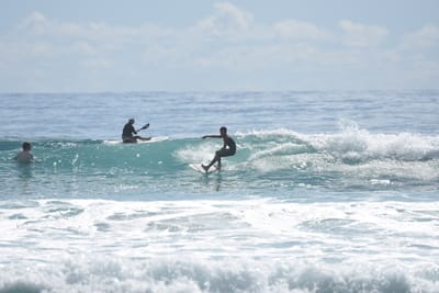 DSC_6567.JPG