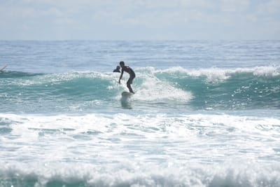 DSC_6572.JPG