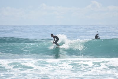 DSC_6574.JPG