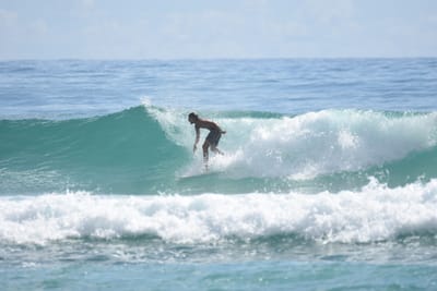 DSC_6585.JPG