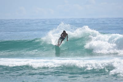 DSC_6590.JPG