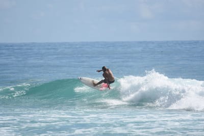 DSC_6593.JPG