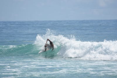 DSC_6596.JPG