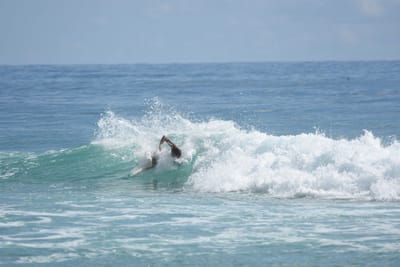 DSC_6597.JPG
