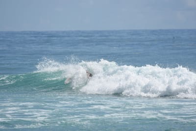 DSC_6598.JPG
