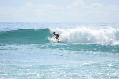 DSC_6599.JPG