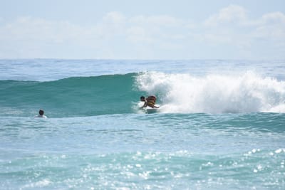DSC_6600.JPG