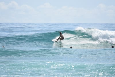 DSC_6605.JPG