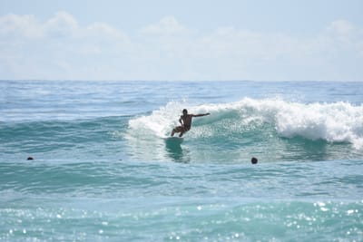 DSC_6608.JPG