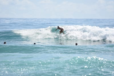 DSC_6611.JPG