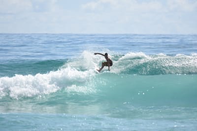 DSC_6616.JPG