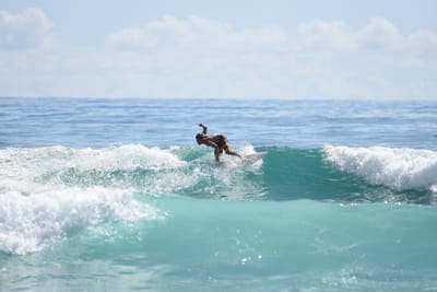 DSC_6618.JPG