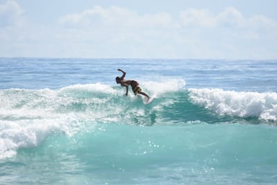 DSC_6619.JPG