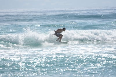 DSC_6684.JPG