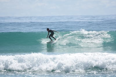 DSC_6696.JPG