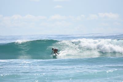 DSC_6705.JPG