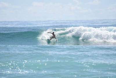 DSC_6715.JPG