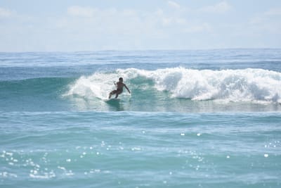 DSC_6716.JPG