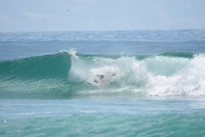 DSC_6742.JPG