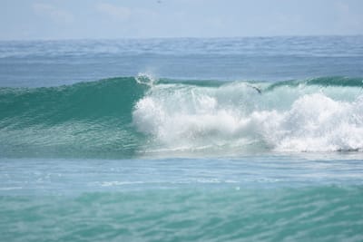 DSC_6743.JPG
